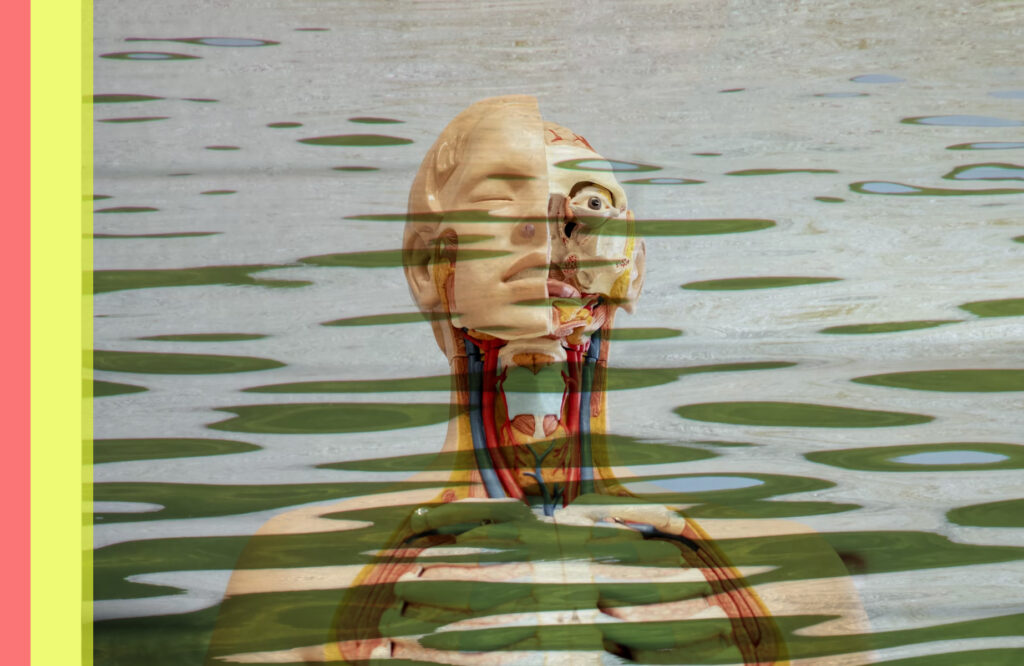 mannequin and water graphic depicting both reflection and wellness in the human body