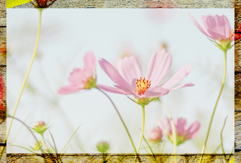 Christ loves everyone, including all women. He was the first to put a woman in a key role. It was the first of its kind.