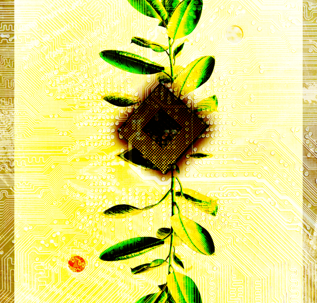 Digital plant reference to Wall-E